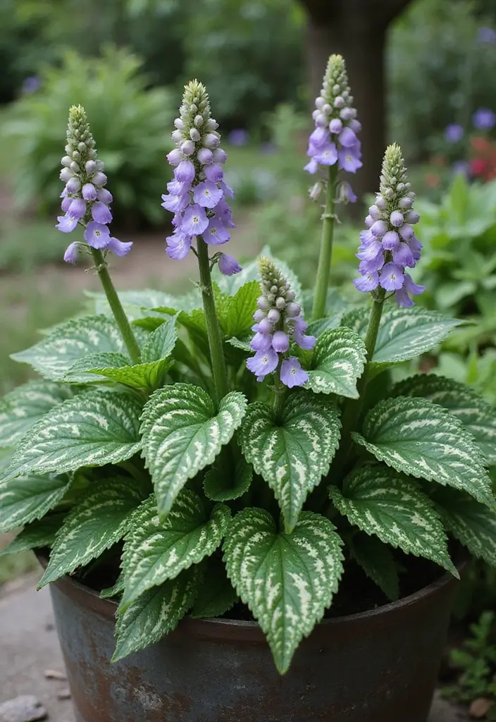 25+ Part Shade Planter Ideas for Lush Growth 77 25+ Part Shade Planter Ideas for Lush Growth - 13. Lovely Pulmonaria