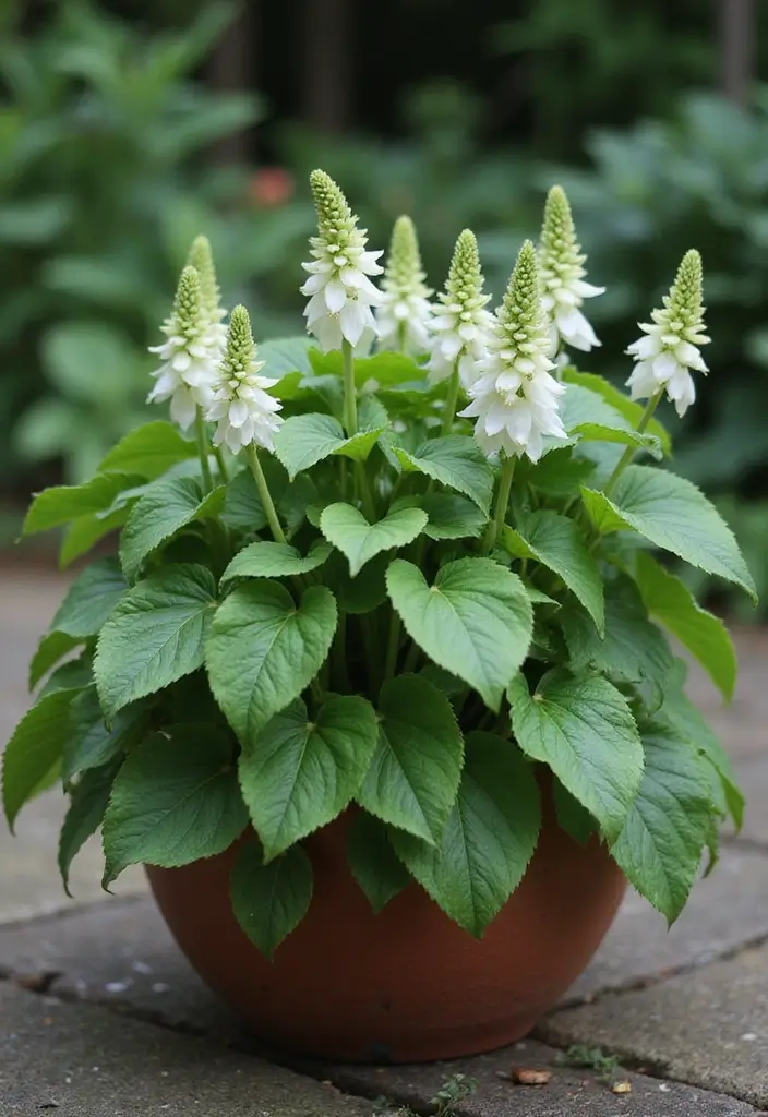 25+ Part Shade Planter Ideas for Lush Growth 112 25+ Part Shade Planter Ideas for Lush Growth - 18. Hardy Epimedium